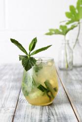 gin-mojito