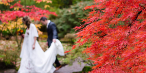 married couple walking through red trees