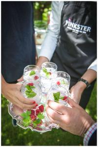 pinkster gin tray