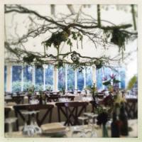 Wedding planning with Red Herring