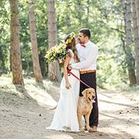 Dog in wedding photograph