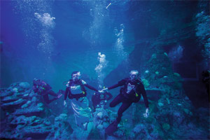 Underwater wedding venue